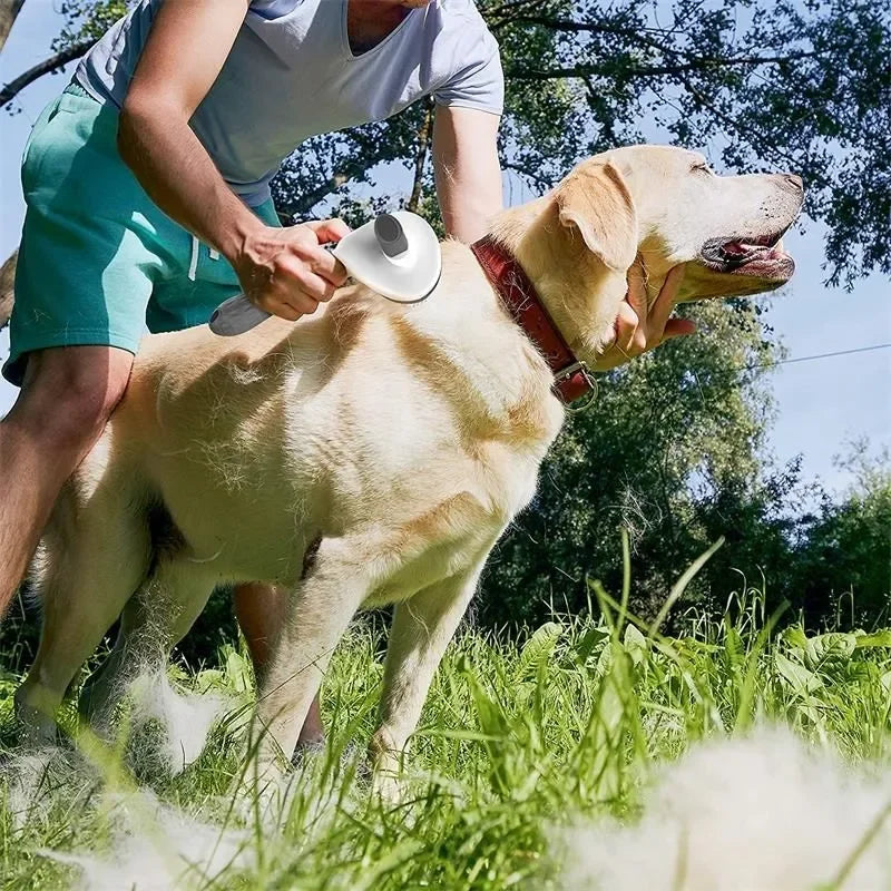 Pente Pet 2 em 1 – Escova para Remover Pelos Soltos e Desembaraçar Nós em Cães e Gatos