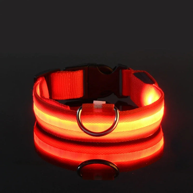 Coleira de Nylon com LED para Cachorro, Acessório Luminoso Fluorescente, Segurança Noturna Piscante, Brilha no Escuro, Coleira Ajustável para Pets