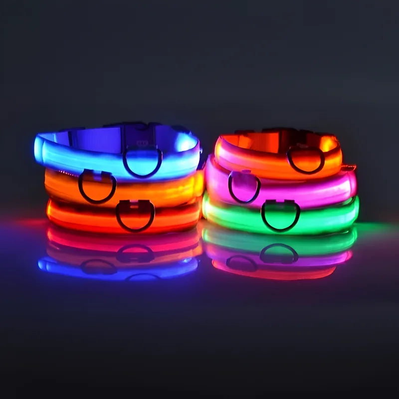 Coleira de Nylon com LED para Cachorro, Acessório Luminoso Fluorescente, Segurança Noturna Piscante, Brilha no Escuro, Coleira Ajustável para Pets