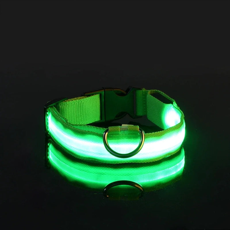Coleira de Nylon com LED para Cachorro, Acessório Luminoso Fluorescente, Segurança Noturna Piscante, Brilha no Escuro, Coleira Ajustável para Pets