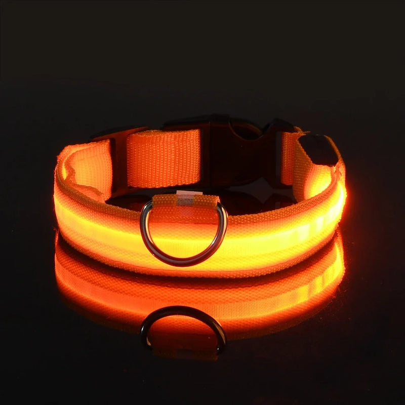 Coleira de Nylon com LED para Cachorro, Acessório Luminoso Fluorescente, Segurança Noturna Piscante, Brilha no Escuro, Coleira Ajustável para Pets