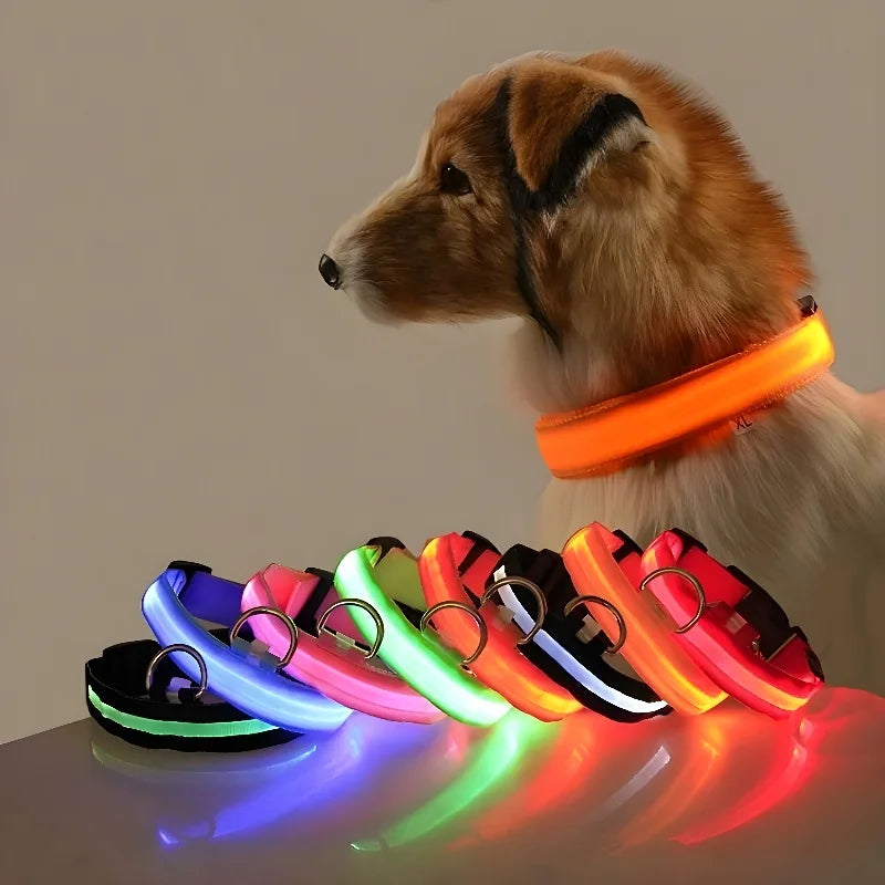 Coleira de Nylon com LED para Cachorro, Acessório Luminoso Fluorescente, Segurança Noturna Piscante, Brilha no Escuro, Coleira Ajustável para Pets