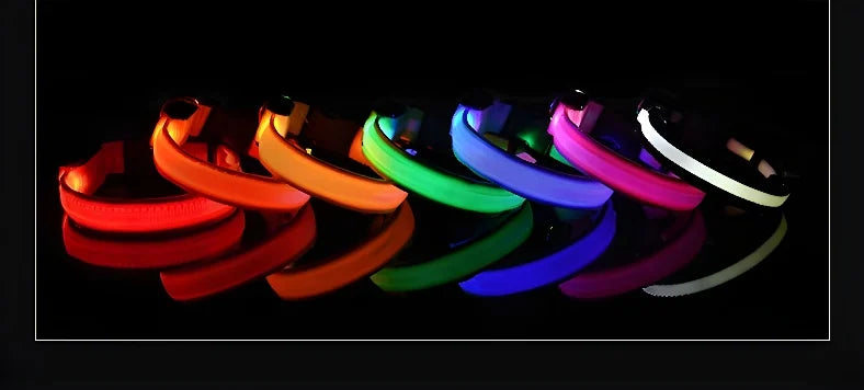 Coleira de Nylon com LED para Cachorro, Acessório Luminoso Fluorescente, Segurança Noturna Piscante, Brilha no Escuro, Coleira Ajustável para Pets