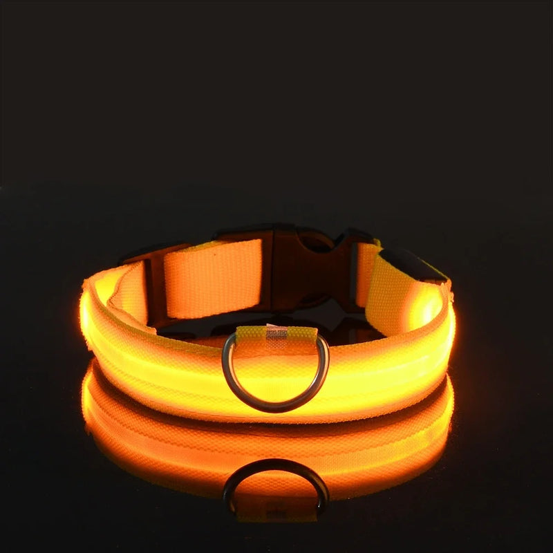 Coleira de Nylon com LED para Cachorro, Acessório Luminoso Fluorescente, Segurança Noturna Piscante, Brilha no Escuro, Coleira Ajustável para Pets